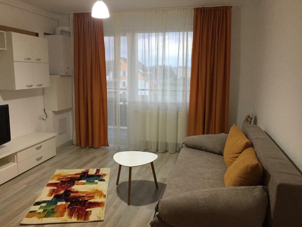 Friendly Rentals Брашов Екстер'єр фото